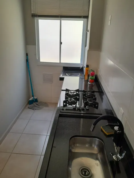 imagem 4 - Apartamento Padrão para Locação no Bairro Parque dos Pinus, em Ribeirão Preto SP imagem 4 - Apartamento Padrão para Locação no Bairro Parque dos Pinus, em Ribeirão Preto SP