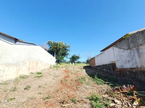 imagem 1 - Terrenos - LoteTerreno imagem 1 - Terrenos - LoteTerreno
