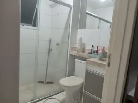 imagem 2 - Apartamentos - Padrão imagem 2 - Apartamentos - Padrão