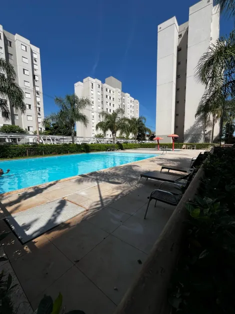 imagem 3 - Apartamentos - Padrão imagem 3 - Apartamentos - Padrão