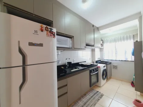 imagem 4 - Apartamento Padrão para Locação e Venda no Bairro Jardim Santa Cecilia, Condomínio Lar França em Ribeirão Preto imagem 4 - Apartamento Padrão para Locação e Venda no Bairro Jardim Santa Cecilia, Condomínio Lar França em Ribeirão Preto