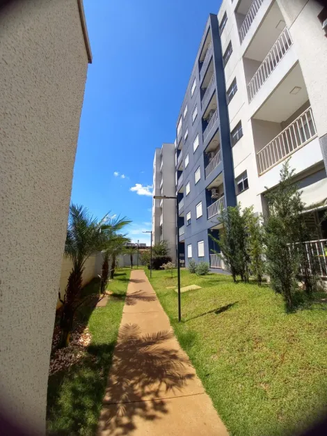 imagem 1 - Apartamentos - Padrão imagem 1 - Apartamentos - Padrão