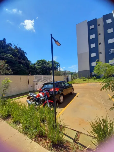 imagem 3 - Apartamentos - Padrão imagem 3 - Apartamentos - Padrão