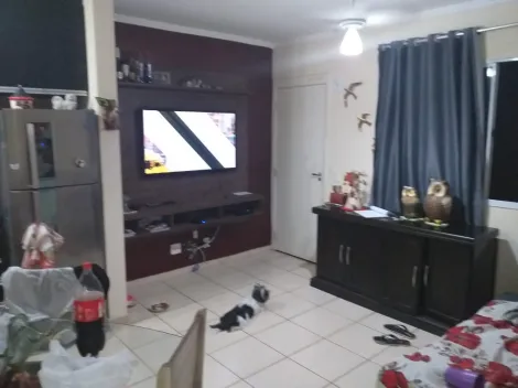 imagem 2 - Apartamentos - Padrão imagem 2 - Apartamentos - Padrão
