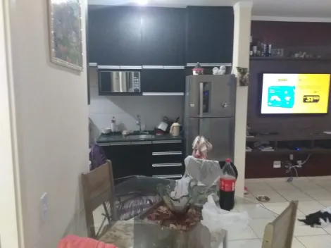 imagem 3 - Apartamentos - Padrão imagem 3 - Apartamentos - Padrão