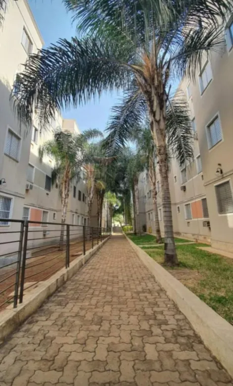 imagem 2 - Apartamentos - Padrão imagem 2 - Apartamentos - Padrão