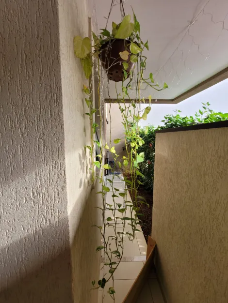 imagem 4 - Apartamento Padrão para locação no Bairro Nova Aliança, em Ribeirão Preto imagem 4 - Apartamento Padrão para locação no Bairro Nova Aliança, em Ribeirão Preto