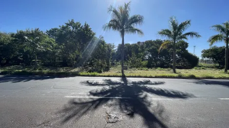 imagem 1 - Terreno Misto para Venda no Bairro Central Park, em Ribeirão Preto SP imagem 1 - Terreno Misto para Venda no Bairro Central Park, em Ribeirão Preto SP