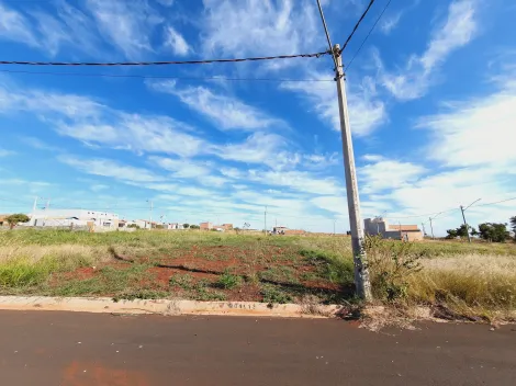 imagem 2 - Terrenos - LoteTerreno imagem 2 - Terrenos - LoteTerreno