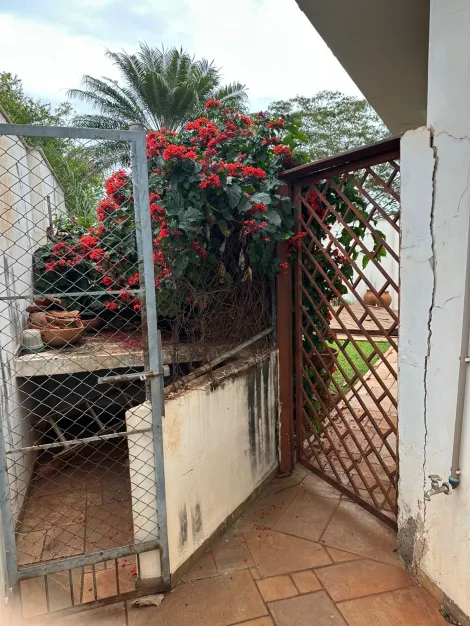 imagem 3 - Casa para Venda e Locação no Bairro Ribeirania em Ribeirão Preto/SP. imagem 3 - Casa para Venda e Locação no Bairro Ribeirania em Ribeirão Preto/SP.