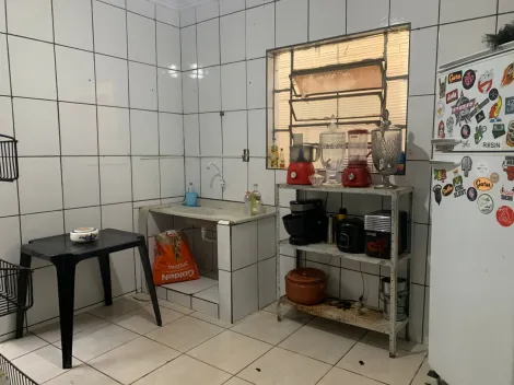 imagem 1 - Casa geminada na Vila Virgínia, em Ribeirão Preto imagem 1 - Casa geminada na Vila Virgínia, em Ribeirão Preto
