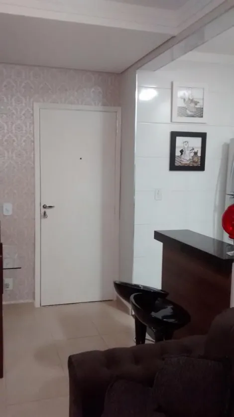 imagem 3 - Apartamentos - Padrão imagem 3 - Apartamentos - Padrão