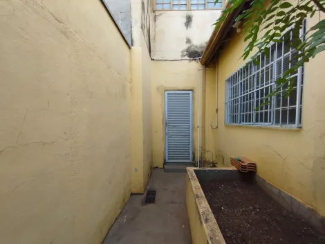 imagem 1 - Edicula Mista para Locação no Bairro Jardim Castelo Branco, em Ribeirão Preto. imagem 1 - Edicula Mista para Locação no Bairro Jardim Castelo Branco, em Ribeirão Preto.