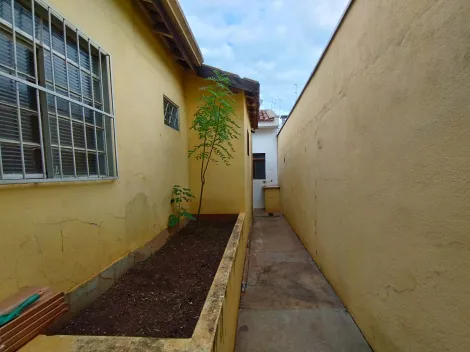 imagem 2 - Edicula Mista para Locação no Bairro Jardim Castelo Branco, em Ribeirão Preto. imagem 2 - Edicula Mista para Locação no Bairro Jardim Castelo Branco, em Ribeirão Preto.