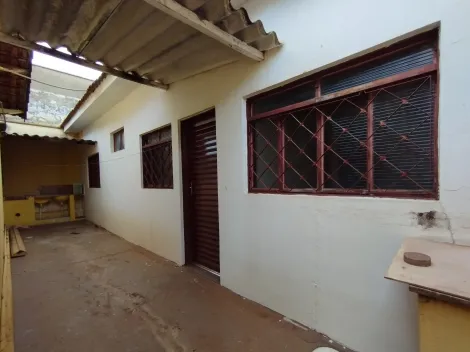imagem 3 - Edicula Mista para Locação no Bairro Jardim Castelo Branco, em Ribeirão Preto. imagem 3 - Edicula Mista para Locação no Bairro Jardim Castelo Branco, em Ribeirão Preto.