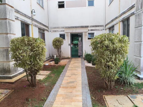 imagem 2 - Apartamentos - Padrão imagem 2 - Apartamentos - Padrão