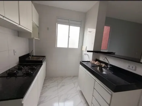 imagem 5 - Apartamentos - Padrão imagem 5 - Apartamentos - Padrão