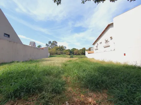imagem 3 - Terreno Misto para Venda no Bairro Alto da Boa Vista, em Ribeirão Preto imagem 3 - Terreno Misto para Venda no Bairro Alto da Boa Vista, em Ribeirão Preto