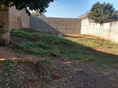 imagem 4 - Terrenos - LoteTerreno imagem 4 - Terrenos - LoteTerreno