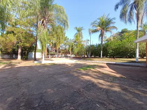 imagem 3 - Chácara Padrão para Venda no Bairro Recanto Princesa Isabel, em Ribeirão Preto imagem 3 - Chácara Padrão para Venda no Bairro Recanto Princesa Isabel, em Ribeirão Preto