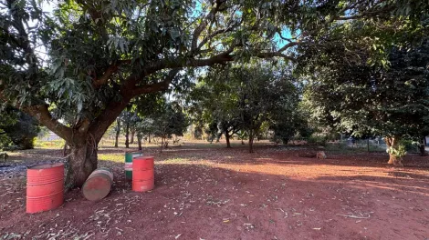 imagem 3 - Chácaras/Imóveis Rurais - Padrão imagem 3 - Chácaras/Imóveis Rurais - Padrão