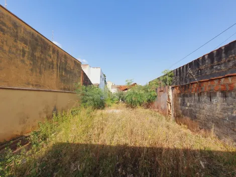 imagem 1 - Terreno para Venda no Bairro Vila Brasil em Ribeirão Preto/SP. imagem 1 - Terreno para Venda no Bairro Vila Brasil em Ribeirão Preto/SP.