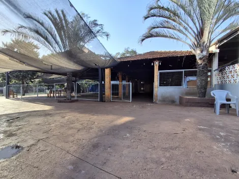 imagem 1 - Salão comercial para Locação no Bairro Jardim Sumaré, em Ribeirão Preto/SP. imagem 1 - Salão comercial para Locação no Bairro Jardim Sumaré, em Ribeirão Preto/SP.