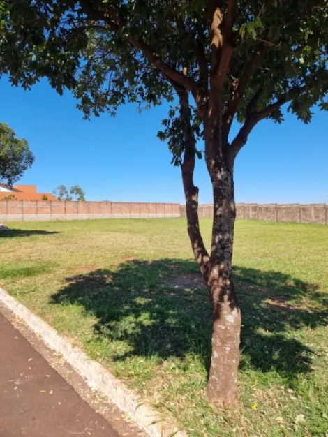 imagem 4 - Terreno Residencial para Venda no Bairro Terras Ana Carolina, em Ribeirão Preto SP imagem 4 - Terreno Residencial para Venda no Bairro Terras Ana Carolina, em Ribeirão Preto SP