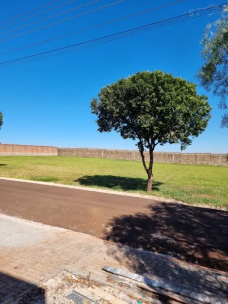 imagem 3 - Terreno Residencial para Venda no Bairro Terras Ana Carolina, em Ribeirão Preto SP imagem 3 - Terreno Residencial para Venda no Bairro Terras Ana Carolina, em Ribeirão Preto SP