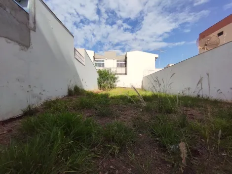 imagem 1 - Terreno misto para Venda no Bairro Parque dos Bandeirantes, em Ribeirão Preto SP imagem 1 - Terreno misto para Venda no Bairro Parque dos Bandeirantes, em Ribeirão Preto SP