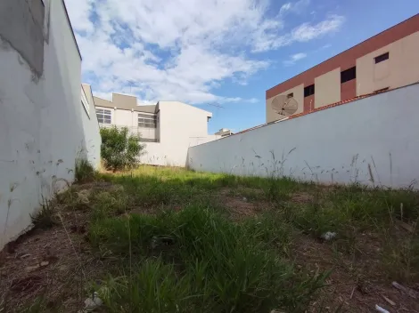 imagem 2 - Terreno misto para Venda no Bairro Parque dos Bandeirantes, em Ribeirão Preto SP imagem 2 - Terreno misto para Venda no Bairro Parque dos Bandeirantes, em Ribeirão Preto SP