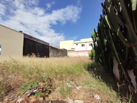 imagem 2 - Terreno misto para Venda no Bairro Parque dos Bandeirantes, em Ribeirão Preto SP imagem 2 - Terreno misto para Venda no Bairro Parque dos Bandeirantes, em Ribeirão Preto SP
