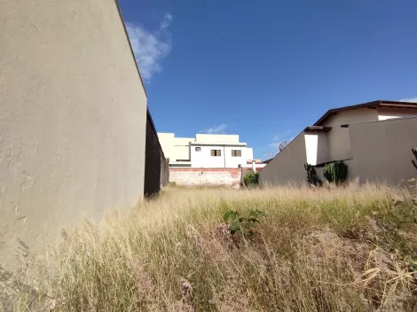 imagem 3 - Terreno misto para Venda no Bairro Parque dos Bandeirantes, em Ribeirão Preto SP imagem 3 - Terreno misto para Venda no Bairro Parque dos Bandeirantes, em Ribeirão Preto SP