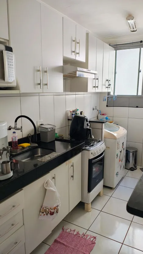 imagem 2 - Apartamentos - Padrão imagem 2 - Apartamentos - Padrão