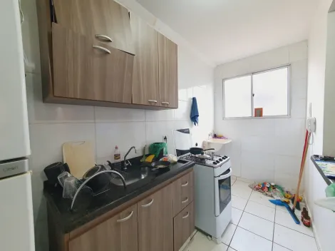 imagem 5 - Apartamentos - Padrão imagem 5 - Apartamentos - Padrão