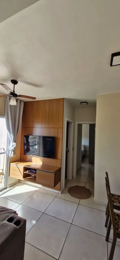 imagem 3 - Apartamentos - Padrão imagem 3 - Apartamentos - Padrão