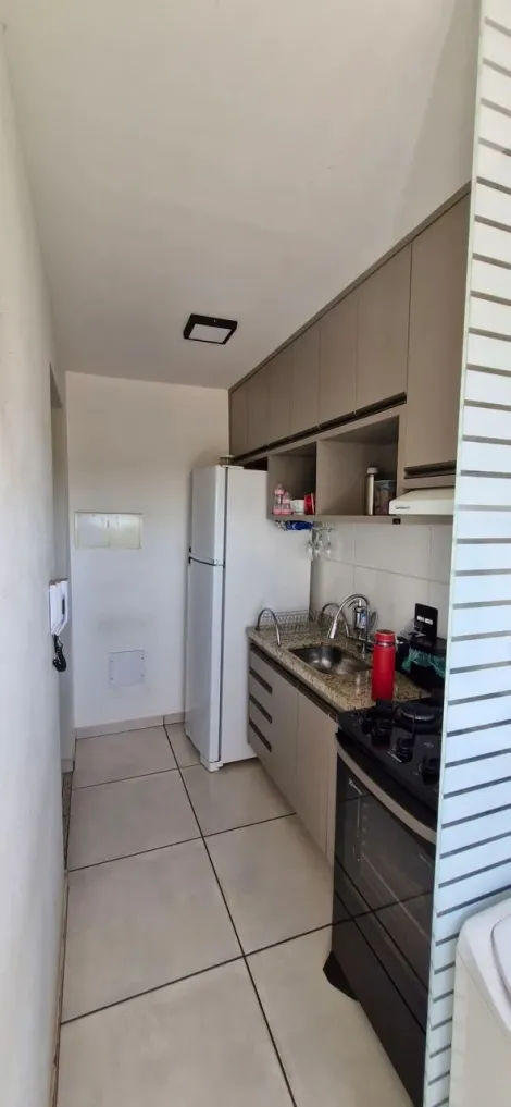 imagem 5 - Apartamentos - Padrão imagem 5 - Apartamentos - Padrão