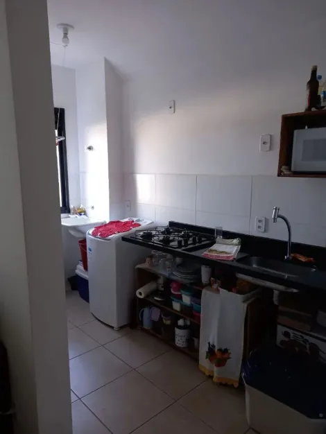 imagem 3 - Apartamentos - Padrão imagem 3 - Apartamentos - Padrão