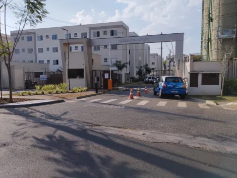 imagem 1 - Apartamento Padrão para Locação no Bairro Jardim Ouro Branco, em Ribeirão Preto imagem 1 - Apartamento Padrão para Locação no Bairro Jardim Ouro Branco, em Ribeirão Preto