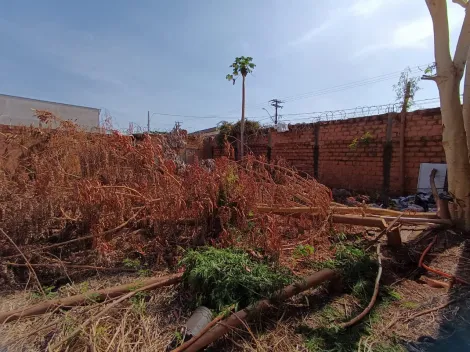 imagem 5 - Terreno para venda no Bairro Planalto Verde em Ribeirão Preto/SP. imagem 5 - Terreno para venda no Bairro Planalto Verde em Ribeirão Preto/SP.