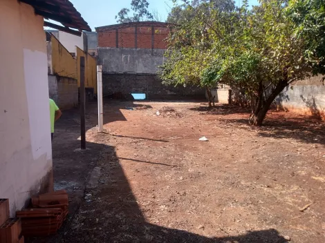 imagem 1 - Terrenos - LoteTerreno imagem 1 - Terrenos - LoteTerreno