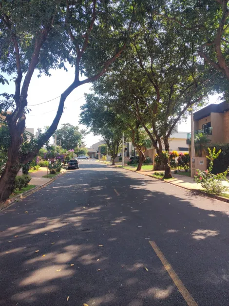 imagem 3 - Terreno Residencial para Venda no Bairro Bonfim Paulista, em Ribeirão Preto SP imagem 3 - Terreno Residencial para Venda no Bairro Bonfim Paulista, em Ribeirão Preto SP