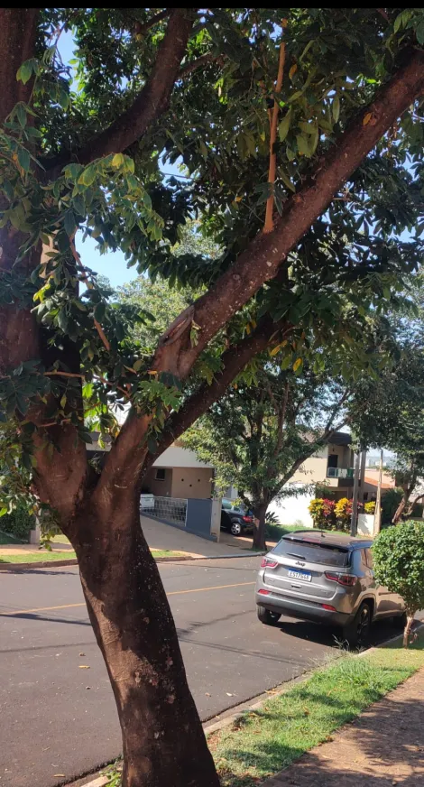imagem 4 - Terreno Residencial para Venda no Bairro Bonfim Paulista, em Ribeirão Preto SP imagem 4 - Terreno Residencial para Venda no Bairro Bonfim Paulista, em Ribeirão Preto SP