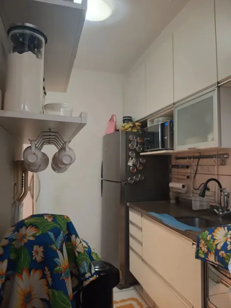 imagem 3 - Apartamento Padrão para Venda no Bairro Jardim Castelo Branco, em Ribeirão Preto imagem 3 - Apartamento Padrão para Venda no Bairro Jardim Castelo Branco, em Ribeirão Preto
