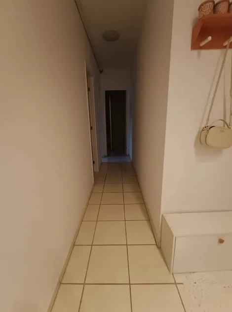 imagem 4 - Apartamento Padrão para Venda no Bairro Jardim Castelo Branco, em Ribeirão Preto imagem 4 - Apartamento Padrão para Venda no Bairro Jardim Castelo Branco, em Ribeirão Preto
