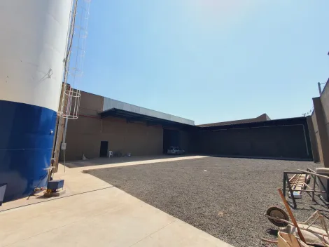 imagem 5 - Galpão Comercial para Locação no Bairro Vila Brasil, em Ribeirão Preto imagem 5 - Galpão Comercial para Locação no Bairro Vila Brasil, em Ribeirão Preto