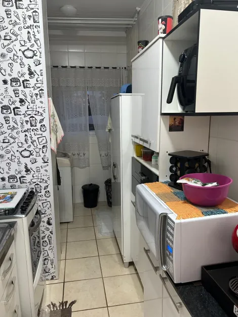 imagem 4 - Apartamentos - Padrão imagem 4 - Apartamentos - Padrão