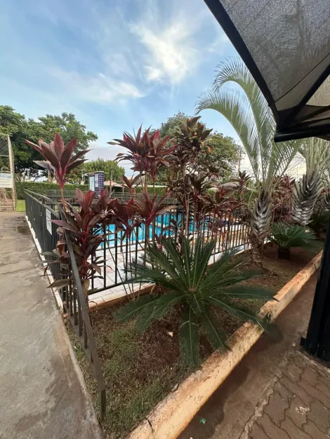 imagem 5 - Apartamentos - Padrão imagem 5 - Apartamentos - Padrão