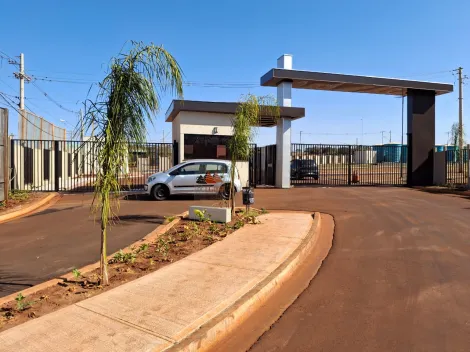 imagem 4 - Apartamento Padrão para Locação no Bairro Recreio Anhanguera, em Ribeirão Preto imagem 4 - Apartamento Padrão para Locação no Bairro Recreio Anhanguera, em Ribeirão Preto