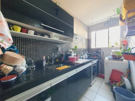 imagem 4 - Apartamentos - Padrão imagem 4 - Apartamentos - Padrão